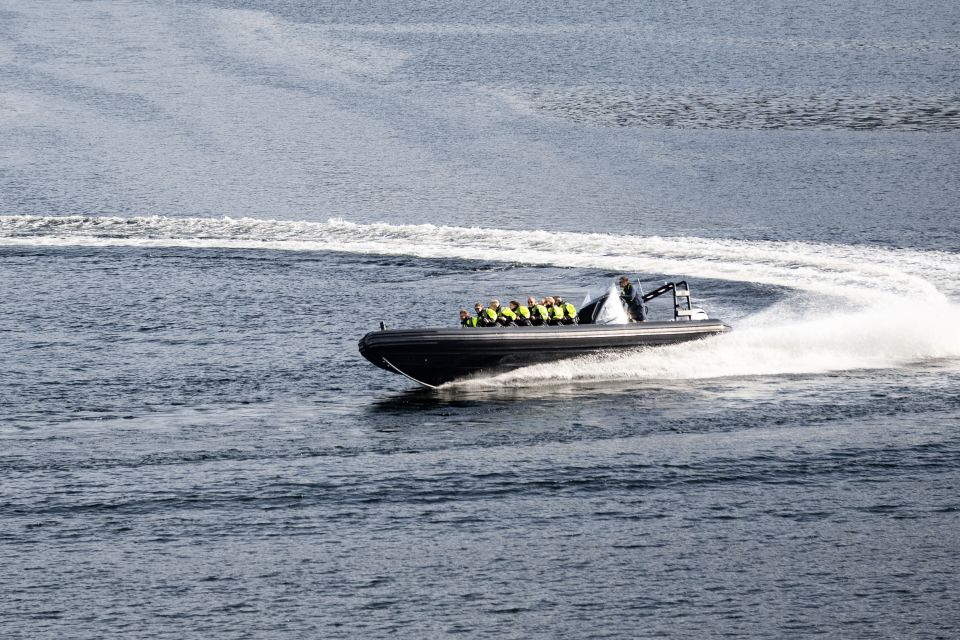 Ulvik Fjord Cruise: Scenic RIB Adventure to Osafjord - Key Points