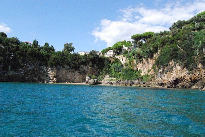 Ulysses Coast Boat Tours - Key Points