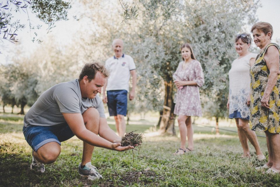 Umag: Olive Oil, Wine, and Local Food at a Family Farm - Key Points