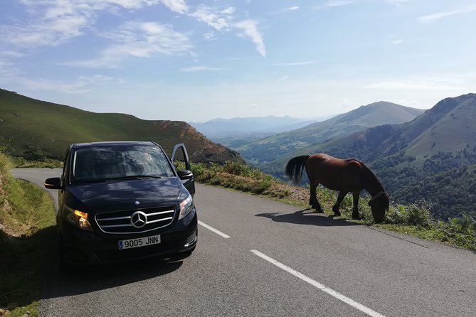 Unspoiled FRENCH BASQUE COUNTRYSIDE - Private Cultural Adeventure - Tour Highlights