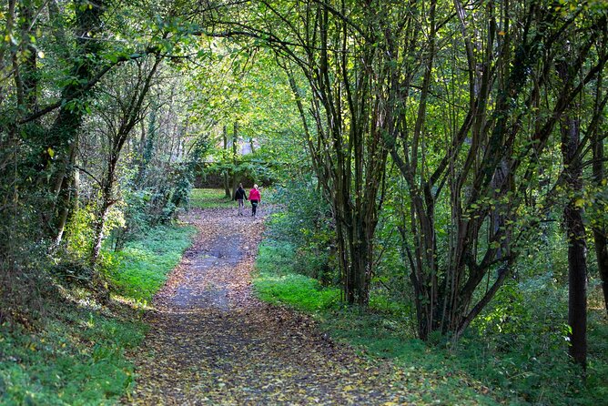 Unveiling the Treasures of Mons Walking Adventure - Key Points