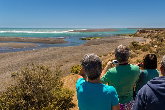 Valdes Peninsula Private Cruise and Wildlife Tour  - Puerto Madryn - Key Points