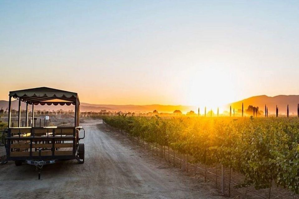 Valle De Guadalupe: Wine Tasting and Carriage Tour - Key Points