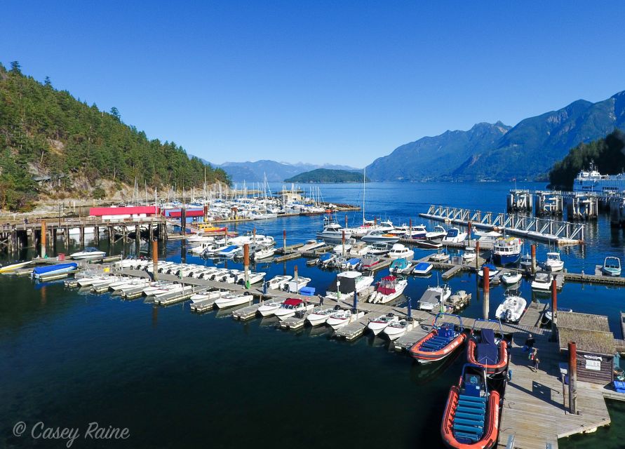 Vancouver: Howe Sound Fjords, Sea Caves & Wildlife Boat Tour - Key Points