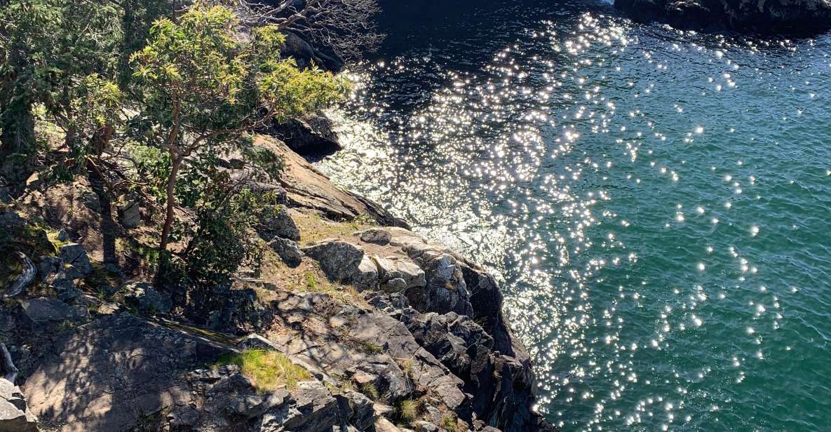 Vancouver: Lighthouse Park Hike - Key Points