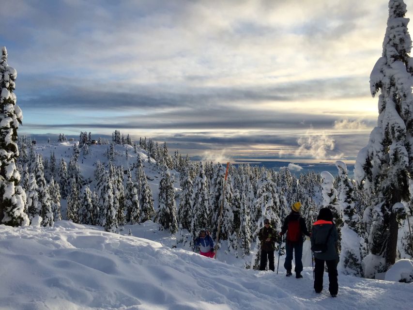 Vancouver: Panoramic View Snowshoeing Tour - Key Points