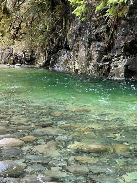 Vancouver: Rainforest Waterfall Hike and Suspension Bridge - Key Points