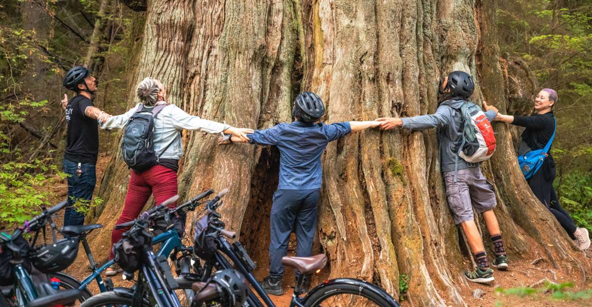 Vancouver: Stanley Park Bicycle Tour - Key Points
