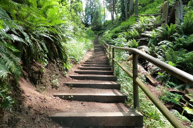 Vancouvers Natural Stair Master Workout, With Beach Walk - Key Points