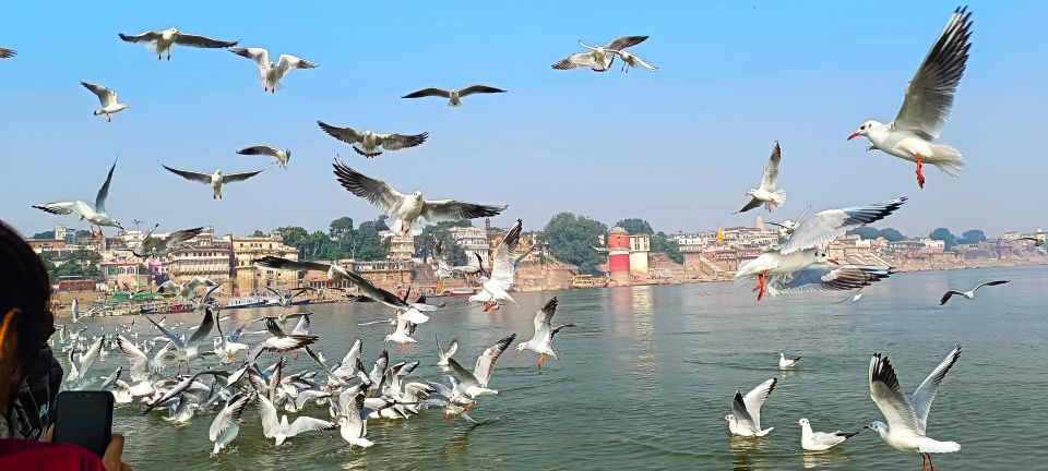 Varanasi : Private Sightseeing Day Tour & Ganga Cruises - Key Points