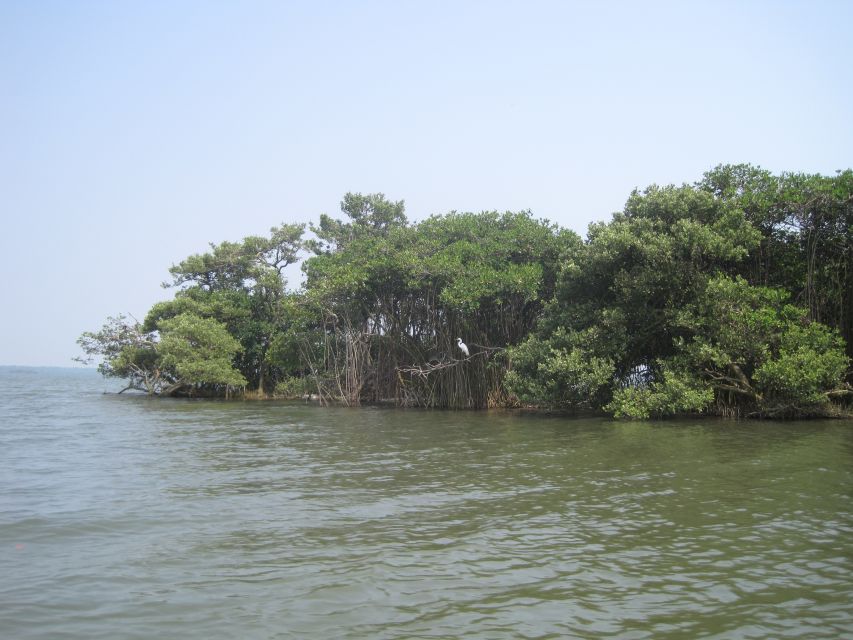Veracruz: City Tour With Mandinga Boat Ride - Key Points