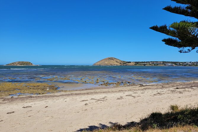 Victor Harbor: Stories of Whaling, Shipwrecks and European Settlers Guided Tour - Key Points