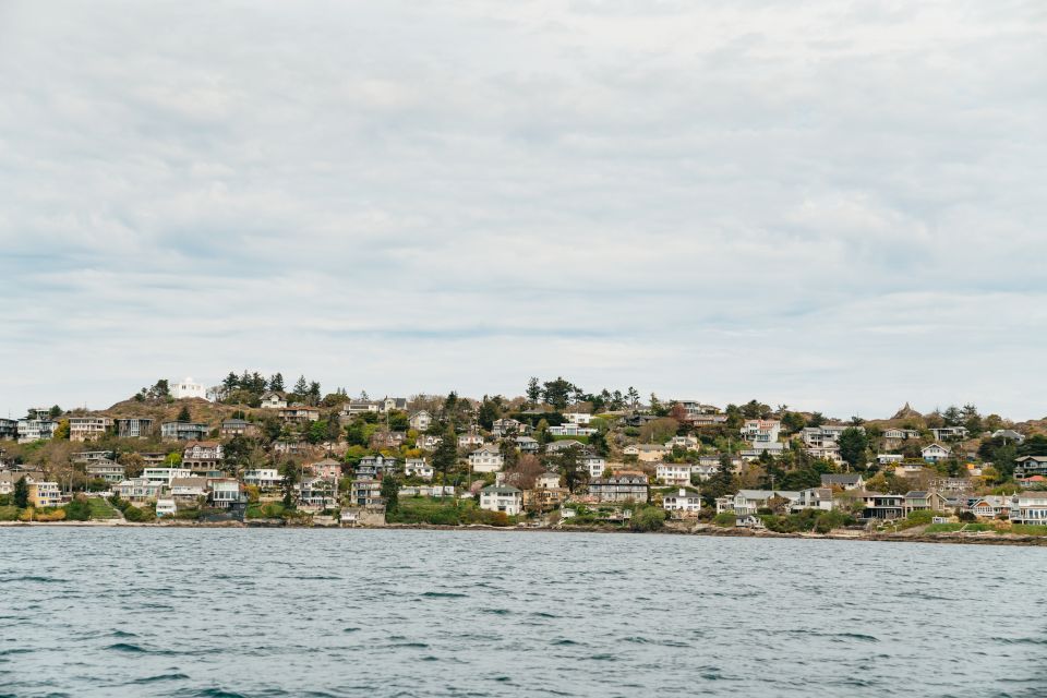 Victoria: 3-Hour Whale Watching Tour in a Zodiac Boat - Key Points