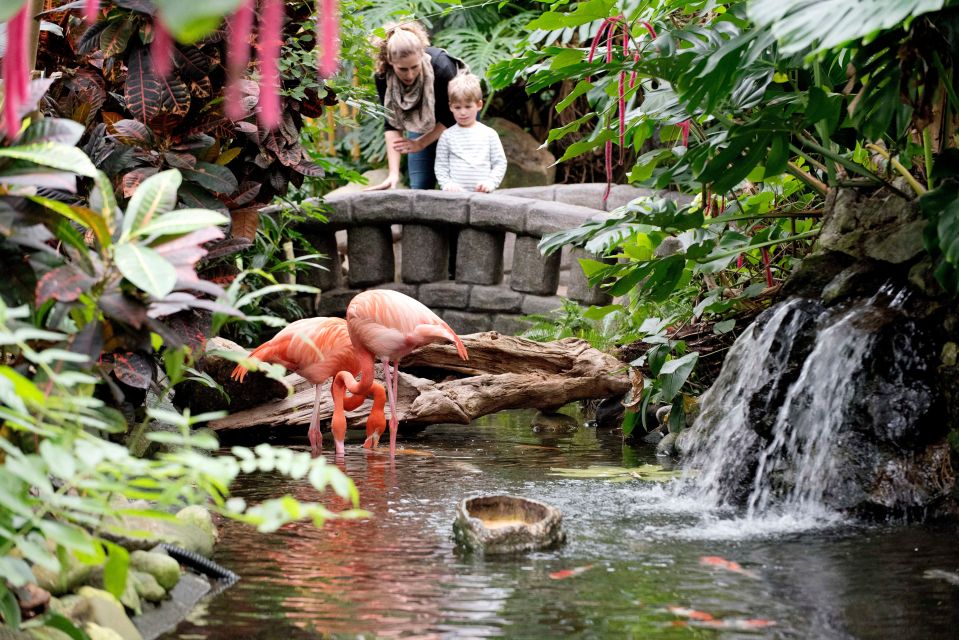 Victoria: Butterfly Gardens Admission Ticket - Key Points