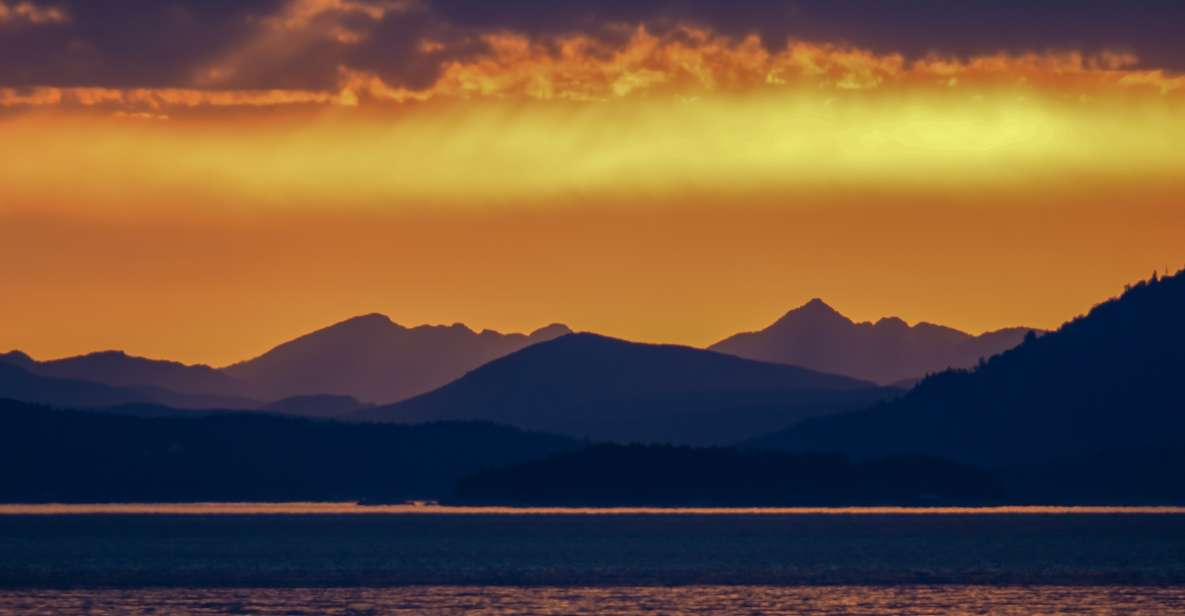 Victoria: Sunset Whale Watching Tour on Semi-Covered Boat - Key Points