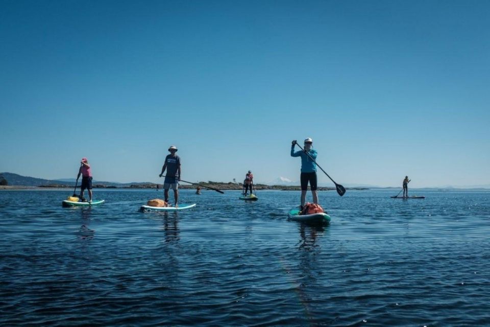 Victoria,BC: Learn to SUP and Tour - Key Points