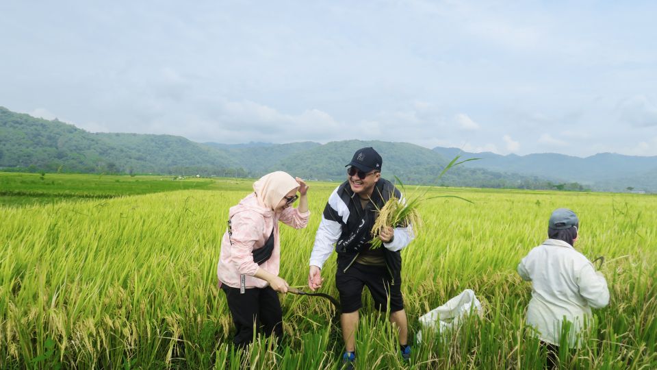 Village Cycling Tour in Nanggulan - Key Points