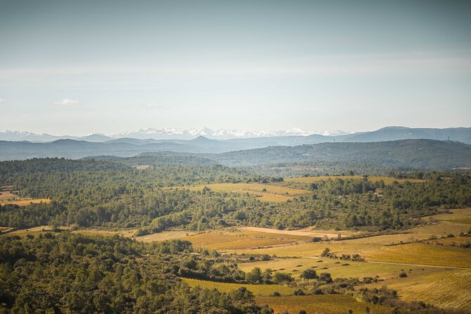 Vineyard Walk in the Garrigue - Event Overview