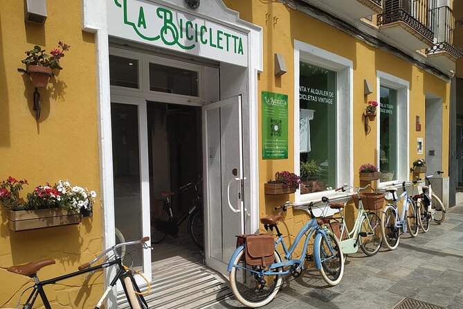 Vintage Style Bike Rental in Malaga - Key Points