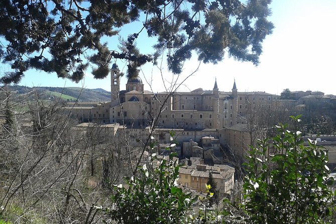Visit of the Ducal Palace of Urbino - Key Points