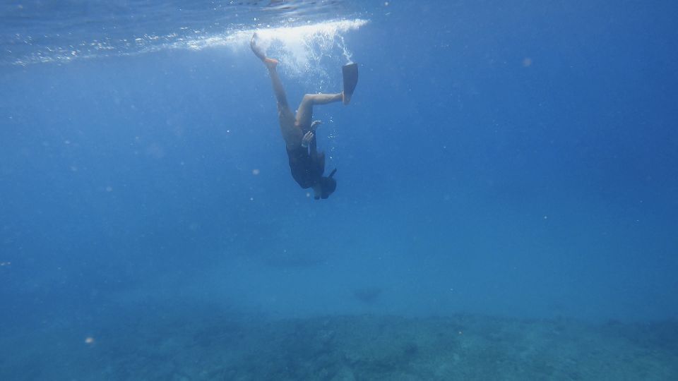 Waikiki: Honolulu Beginner Snorkeling Tour - Key Points