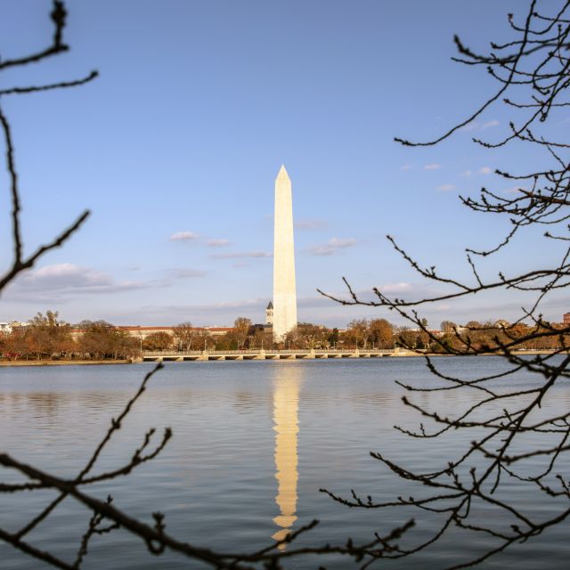 Washington: Cherry Blossom Tour - Key Points