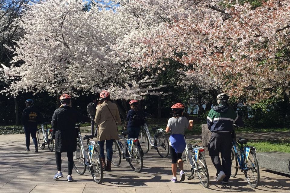 Washington DC: Cherry Blossom Festival Tour by Bike - Key Points