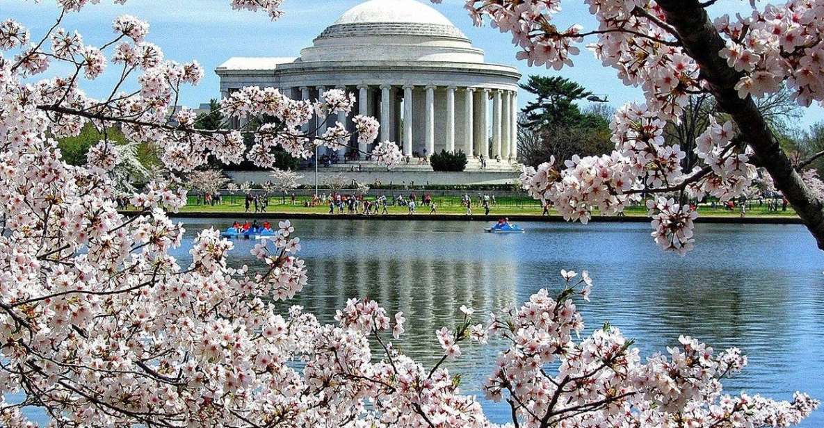 Washington DC : Cherry Blossom Walking Tour - Key Points