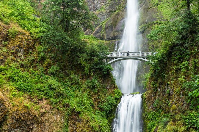 Waterfall Hop-On Hop-Off Trolley Tour Multnomah Falls Day Pass - Key Points