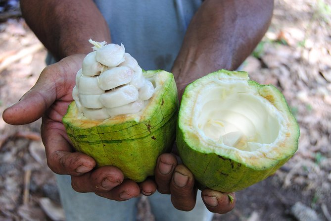 Waterfall Rappelling and Chocolate Tour in La Fortuna - Key Points