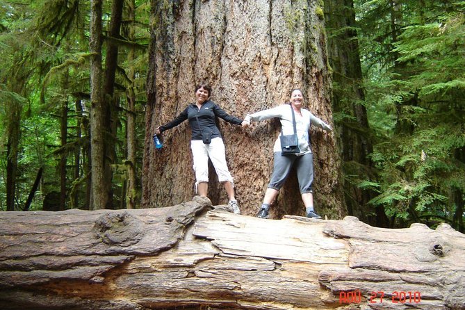 Waterfalls, Cathedral Grove Rainforest, and Coombs Adventure With Hiking - Key Points