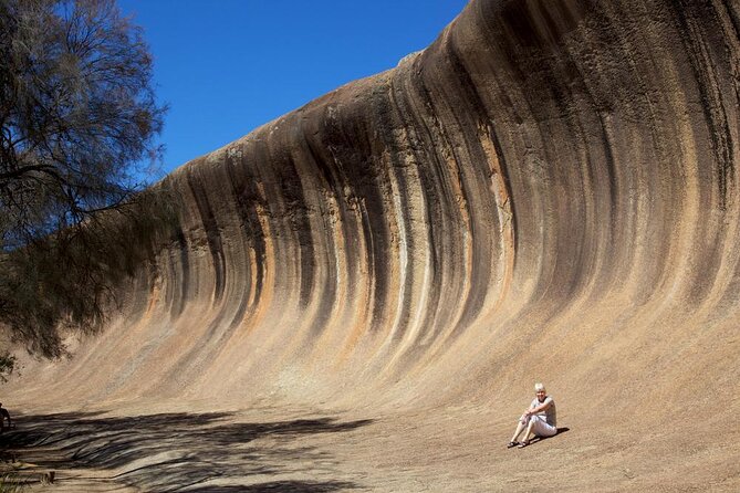 Wave Rock & Rottnest Island - Air & Ground Tour - Key Points