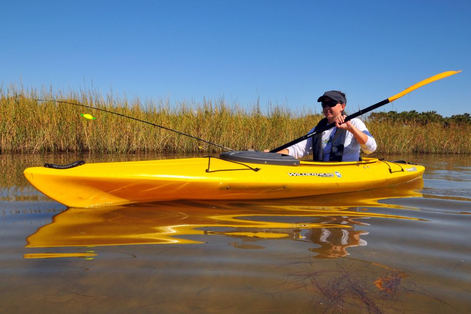 Wekiva River Kayak Full-Day Trip - Key Points
