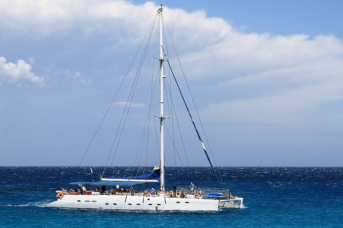 Whale & Dolphin Watching in Tenerife (Puerto Colon) On a Large Catamaran - Key Points