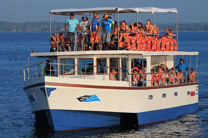 Whale Watching Cruise From Galle & Mirissa - Key Points