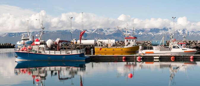 Whale Watching on a Traditional Oak Sailing Ship From Husavik - Key Points