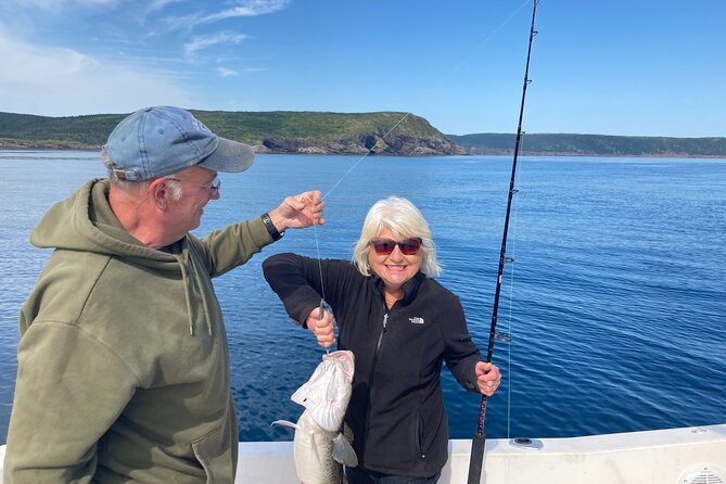 Whale Watching, Shark and Cod Fishing, From St. Johns Harbor - Key Points