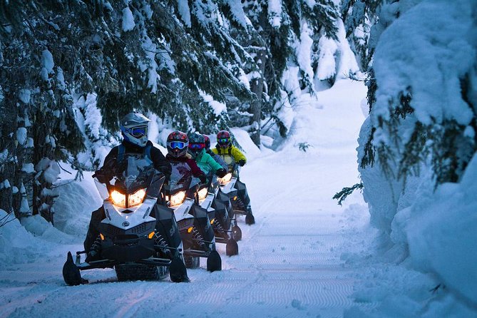 Whistler Cedar Forest Snowmobile Tour for Intermediate Riders - Key Points