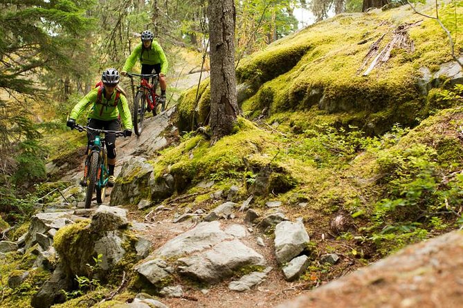 Whistler Full-Day Mountain Bike Tour - Key Points