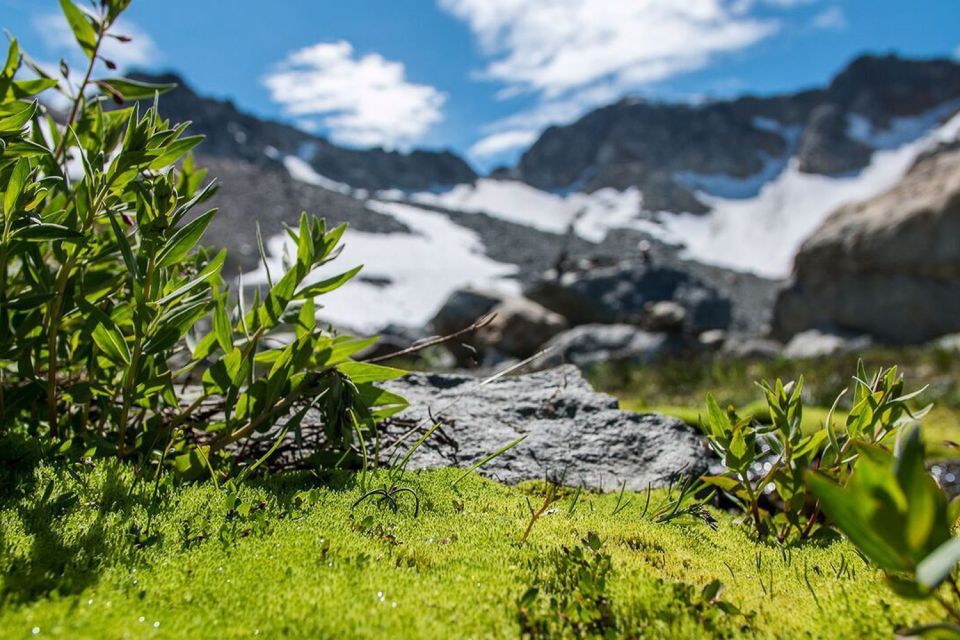 Whistler: Guided Glacier Discovery Hike - Key Points