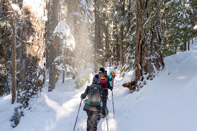 Whistler Small-Group Full-Day Snowshoe Tour - Key Points