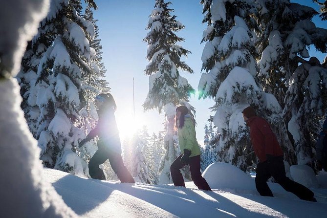 Whistler Snowshoeing Adventure - Key Points