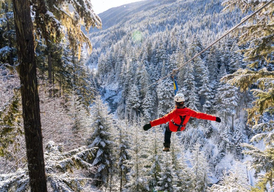 Whistler Zipline Experience: Ziptrek Eagle Tour - Key Points