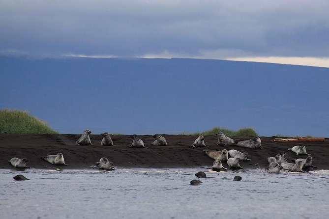 Wild North Iceland Exploration by Super Jeep From Reykjavik - Key Points