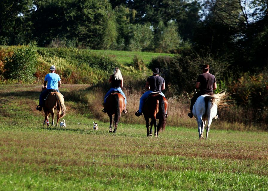 Wild Spring Ranch: Rakovica, Croatia, Horse Riding - Key Points