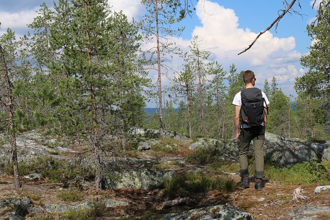 Wilderness Hike in Rovaniemi - Key Points