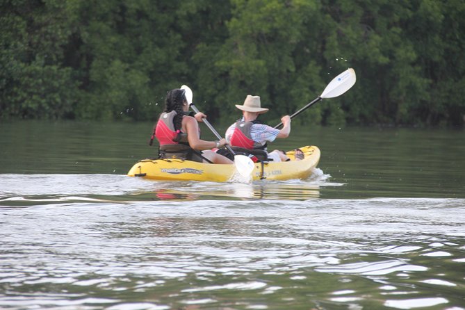Wildlife and Mangrove Kayaking Tour Río Ora - Key Highlights