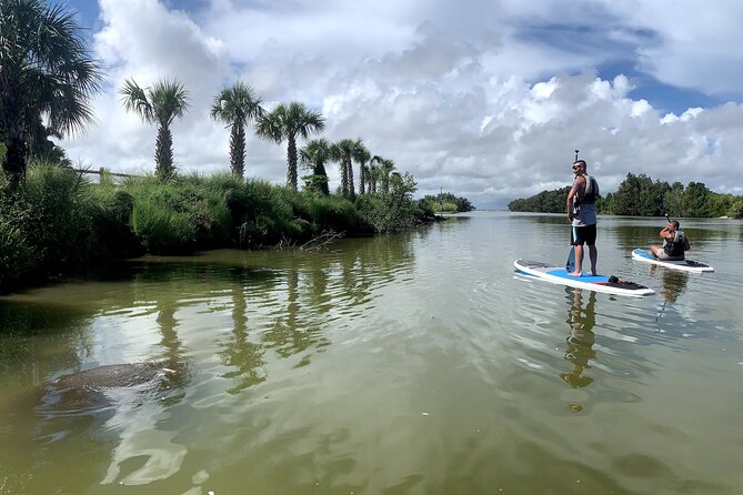 Wildlife Refuge Sunset Dolphin, Manatee & Mangrove Kayak or Paddleboarding Tour! - Key Points