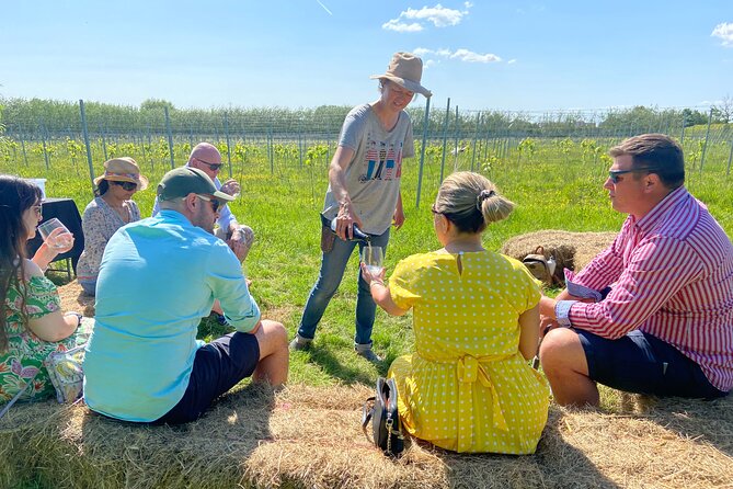 Wine and Cheese Tasting Tour in Cheddar Valley - Key Points