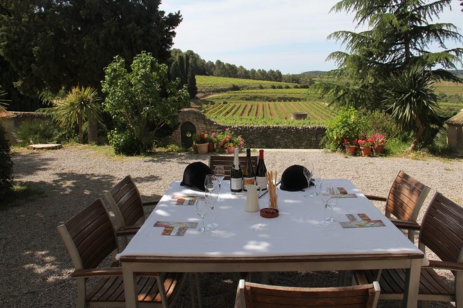 WINE & CAVA TOUR PENEDÉS: Visit 2 WINEries, WINE Tasting & Tapas Lunch - Key Points